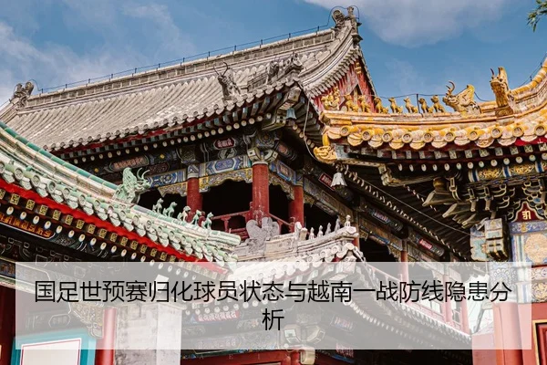 guo-zu-shi-yu-sai-gui-hua-qiu-yuan-zhuang-tai-yu-yue-nan-yi-zhan-fang-xian-yin-huan-fen-xi-2-843.jpg