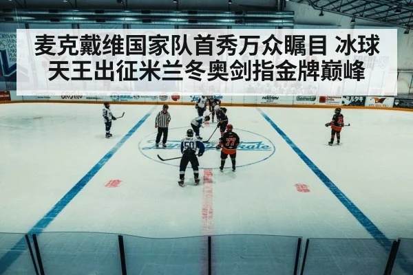 winter olympics ice rink