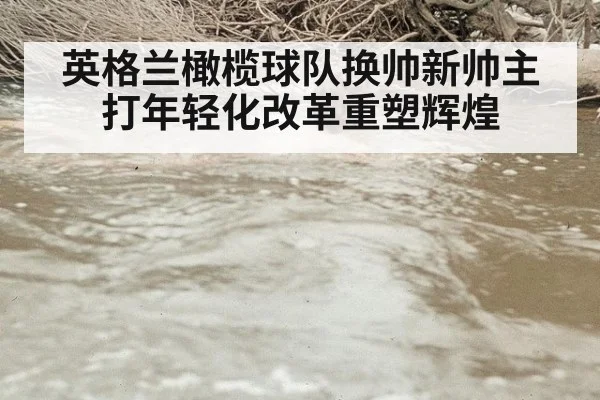 英格兰橄榄球队换帅新帅主打年轻化改革重塑辉煌